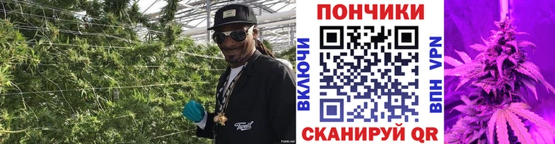 Купить наркоту Зарайск Гашиш  Конопля  СК  Меф мяу мяу 