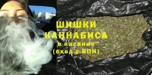 гидра Абаза