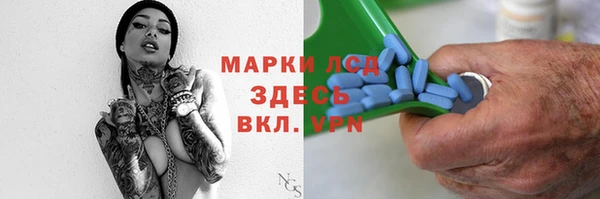 гидра Абаза