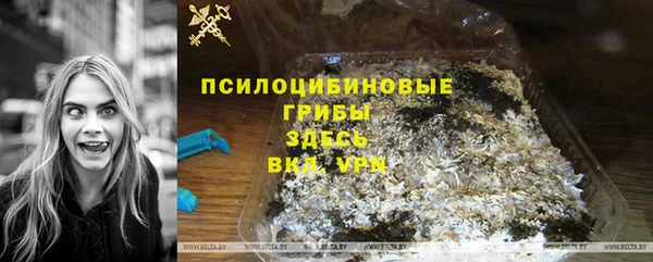 шишки Абинск