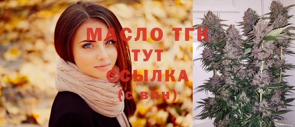 гидра Абаза