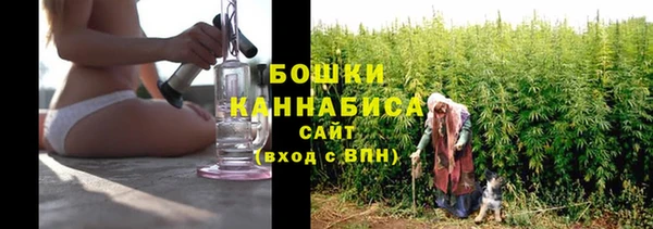 гидра Абаза