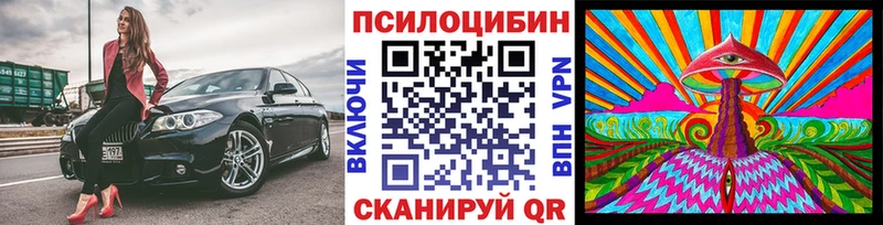 Псилоцибиновые грибы GOLDEN TEACHER  купить  цена  Зарайск 